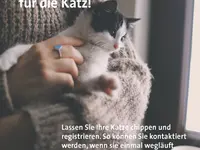 Kleintierpraxis Lindengarten