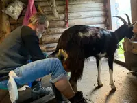 Stiftung Terra Vecchia, Stiftungssekretariat - Klicken Sie, um das Bild 3 in einer Lightbox vergrössert darzustellen