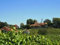 Caves du Château
