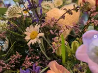 Blumen Röthlin