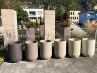 AUHOF Pflanzen Garten Blumen