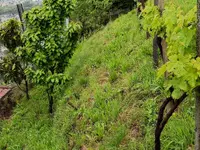 ELLEMME Giardini di Luca Maruca