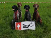 Tier- und Sport GmbH - Klicken Sie, um das Bild 2 in einer Lightbox vergrössert darzustellen