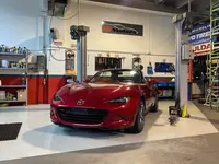 DS Motors & Pneumarket Sagl