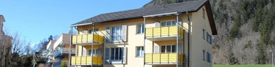 Immobilien Treuhand Naef