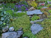 Dubach Gartenbau und Pflege