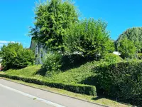 Zbinden Paysage