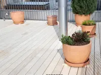 Gebrüder Steiner Holzbau AG