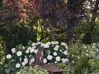 garten•kultur