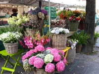 Blumen Müller