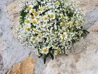 Blumen Berger