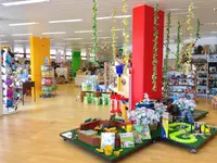 Pastorini Spielzeug AG