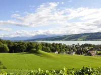 Weinbau Kaiserspan - Klicken Sie, um das Bild 4 in einer Lightbox vergrössert darzustellen