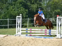 MANEGE DE GRANGES-SUR- MARLY Sàrl