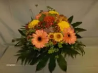 Blumen Jakob