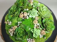 Vegetal Trend Sàrl