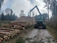Forstunternehmung Jahn Rüegg