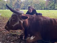 Luana EMINIC HUGO - L'ostéo animaux