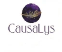 Causalys-Massage