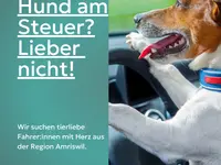 Tierschutzverein Amriswil und Umgebung