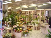 Blumen Pfister
