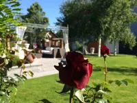César Da Costa Gartenbau GmbH