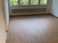 Wagner Parquet