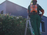 Köhn Gartenbau AG