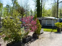 Camping Paradis-Plage