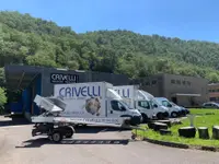 Crivelli Traslochi & Trasporti SA