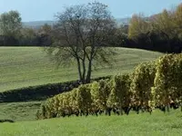 Domaine Les Hutins - Klicken Sie, um das Bild 6 in einer Lightbox vergrössert darzustellen