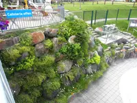 Albula Gartenbau GmbH