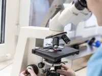 Tierarztpraxis Dammbühl AG