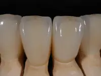 Müller Dental-Technology