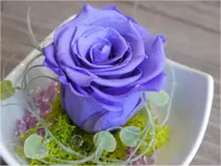 Fragrance Fleurs du Jorat Gameiro Brigitte