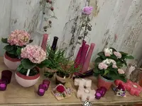 ANGELOZ Jardinier-Paysagiste