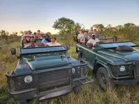 L'Œil Sauvage - Wildlife Experience