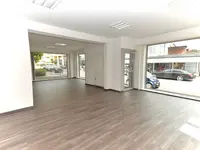 GENIGIPS AG