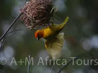 A + M Africa Tours GmbH
