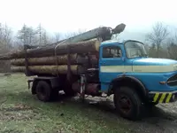 🌲 Segheria Lombardi Sagl 🌲 - Klicken Sie, um das Bild 6 in einer Lightbox vergrössert darzustellen