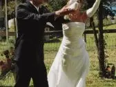 Hochzeitstauben Burlet