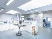 Tierklinik Rhenus AG - cliccare per ingrandire l’immagine 4 in una lightbox