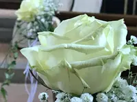 Blumengeschäft riedland.ch