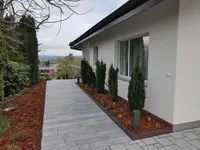 BRÜHWILER-GARTENBAU, BAUMPFLEGE