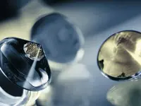 Plexall Gmbh Bern
