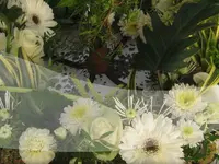 Blumenland Schweiz AG