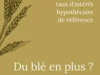 ALC Conseils Immobiliers
