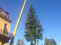 Entreprise forestière Sauser SA