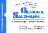 Logo Gehrig + Salzmann GmbH