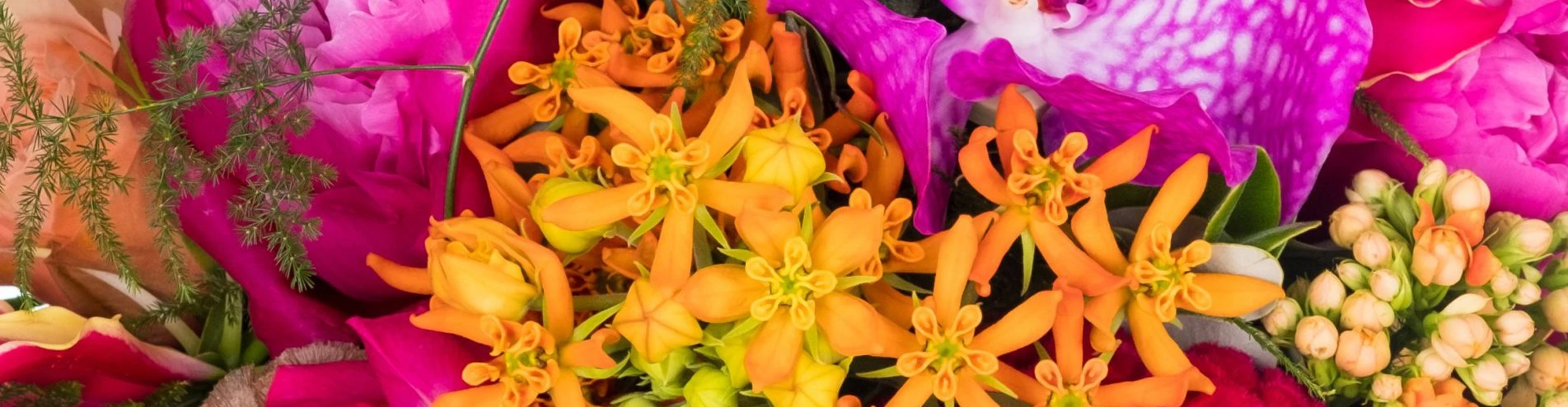 Wuillemin Fleuristes SARL